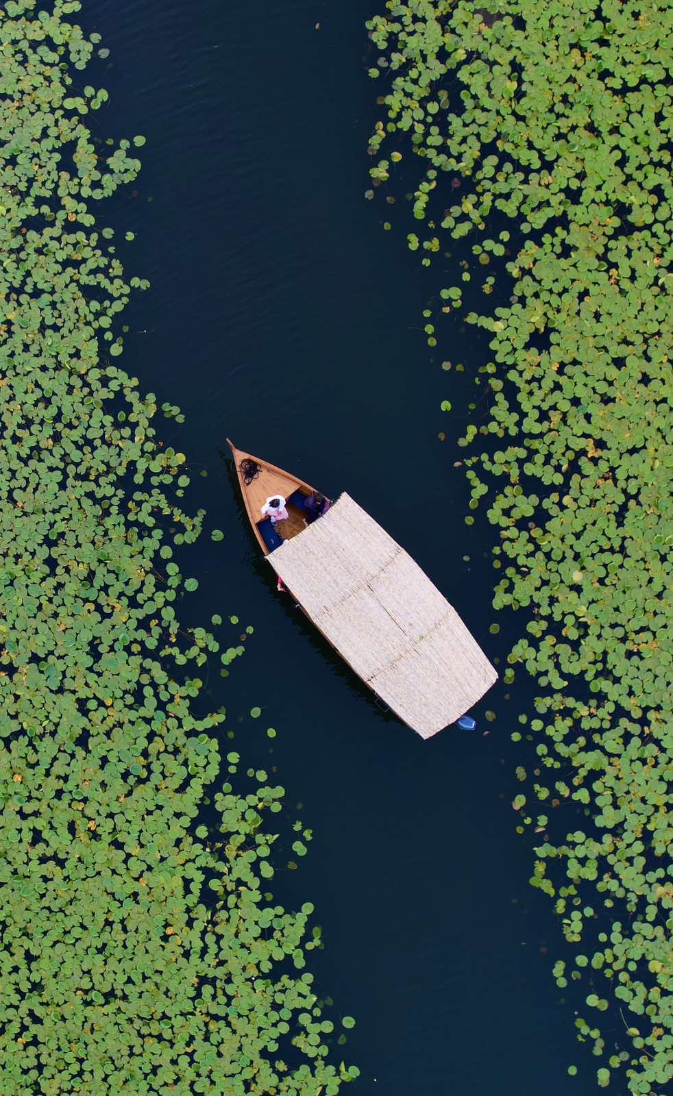 Boat in lotus canal